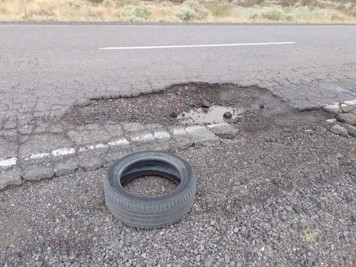 BACHE-99.jpg