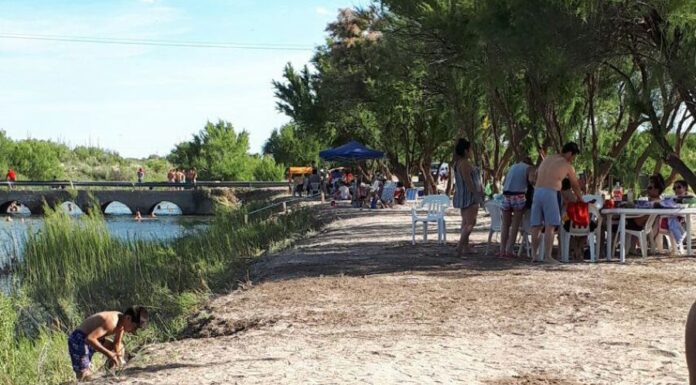 ALGARROBO-AGUILA.jpg