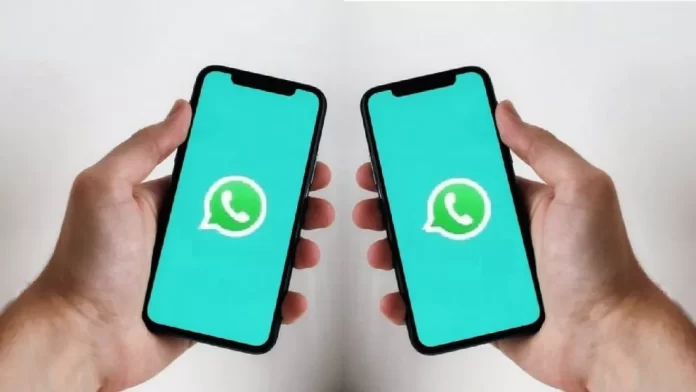 WATSAPP-ACOMPANANTE.webp.webp