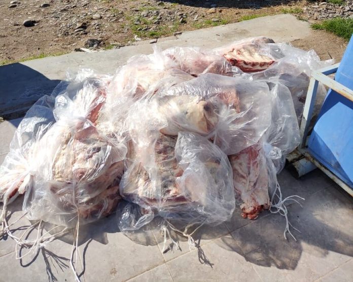 CARNE-CATRIEL-e1661291723612.jpg
