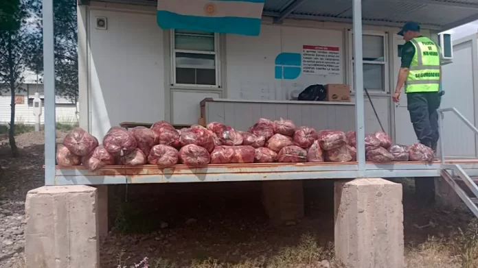 carne-puente-2.webp.webp