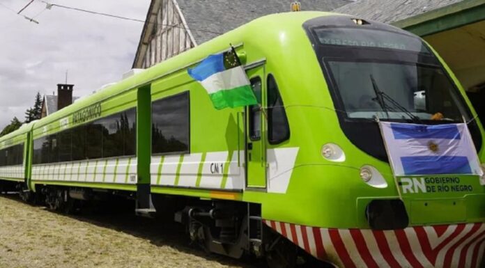 tren-patagonico3.jpg