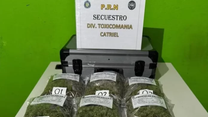 droga-catriel2.webp.webp