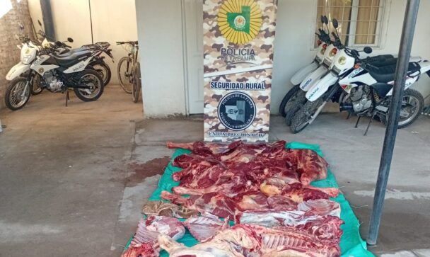 carne-ruta-e1775661265142-608x363.jpg